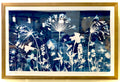 Agapanthus Garden (2025) by Sarah Martiny